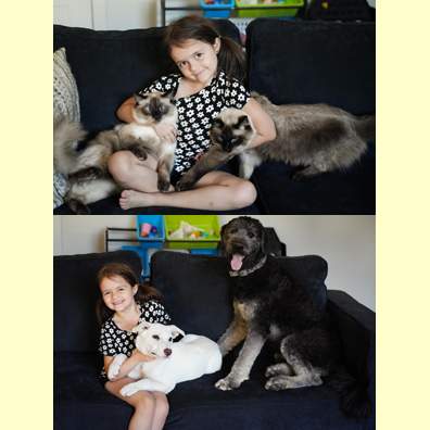 Pet Picture